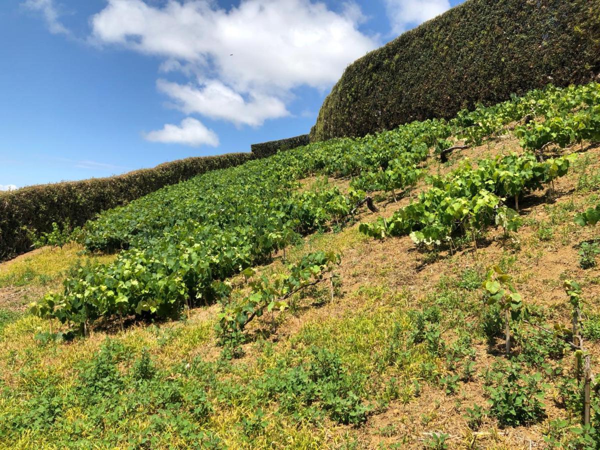 Quinta Do Pico Villa Ponta Delgada Exteriör bild